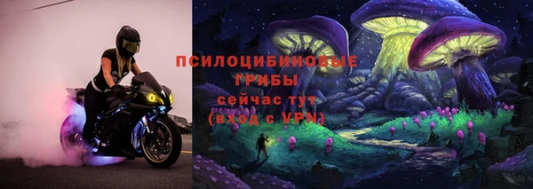 молекула духа Алзамай