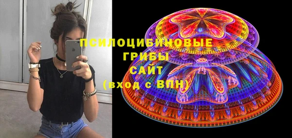 молекула духа Алзамай