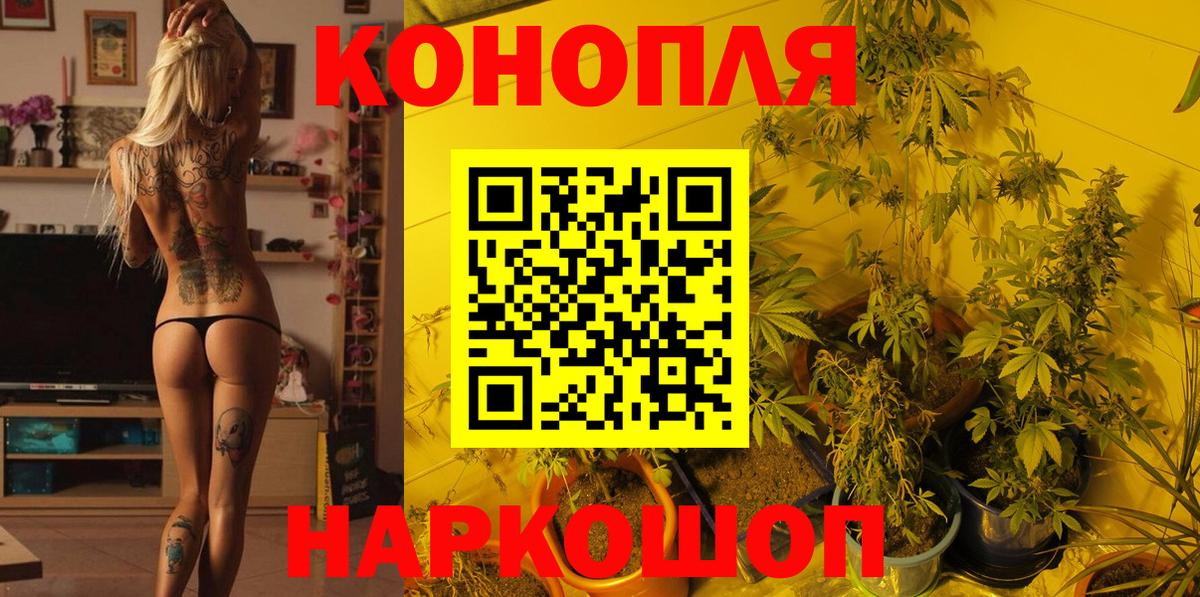 Канабис индика Жуковский